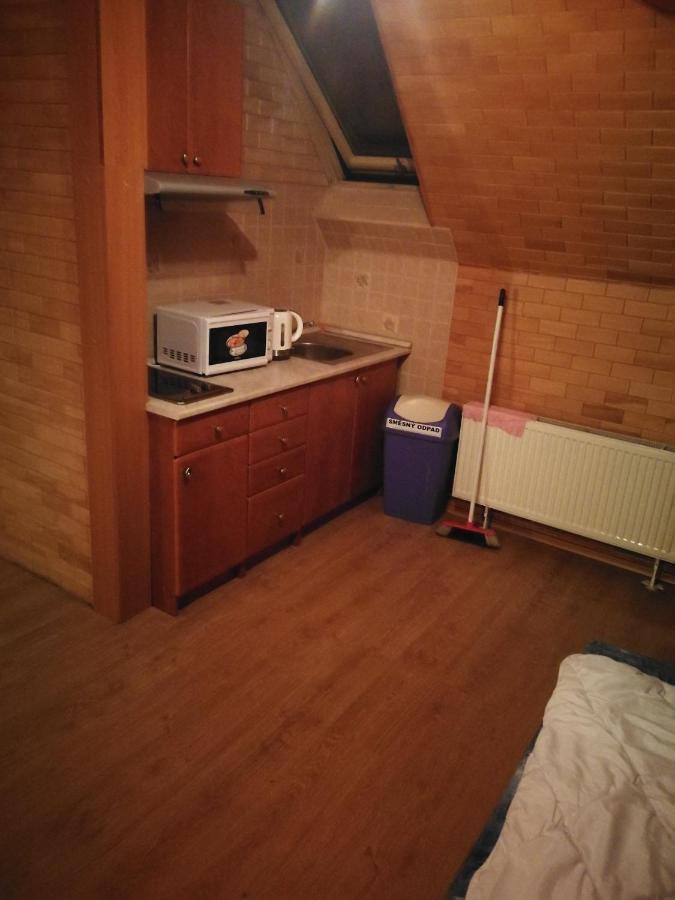 Villa Barrandovska プラハ エクステリア 写真
