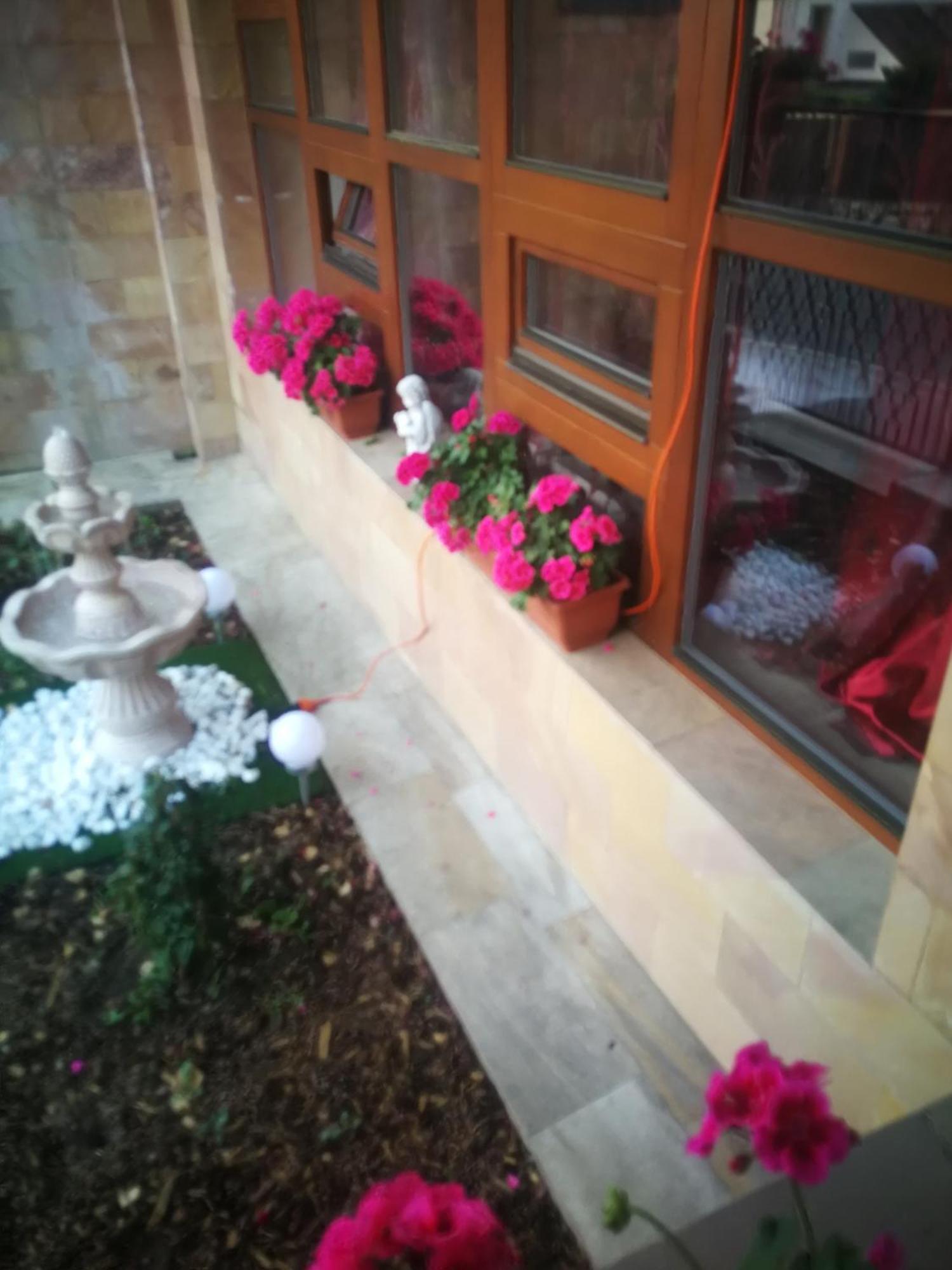 Villa Barrandovska プラハ エクステリア 写真