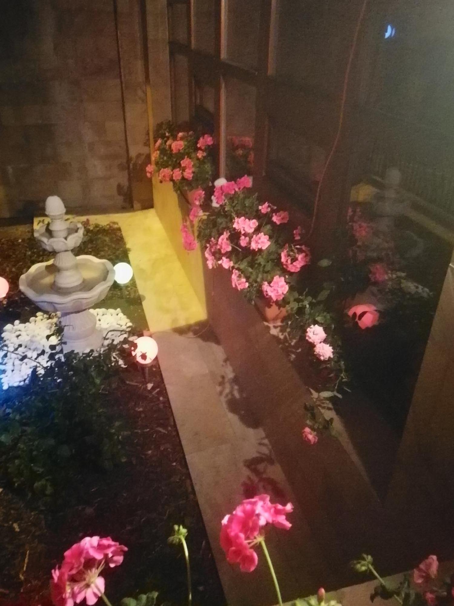 Villa Barrandovska プラハ エクステリア 写真
