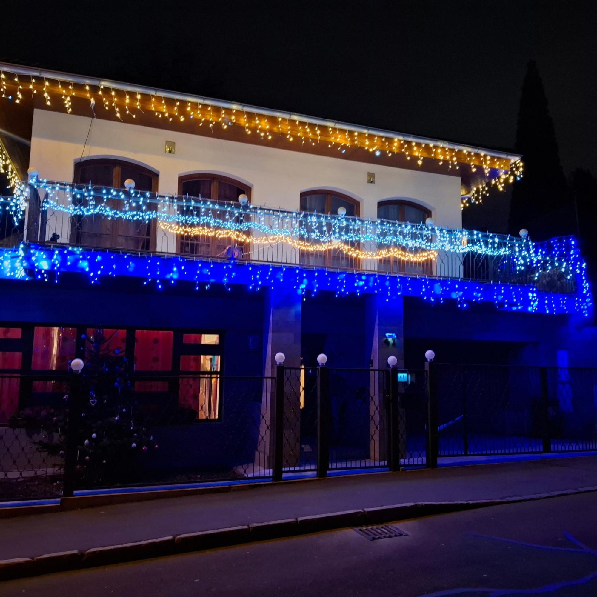 Villa Barrandovska プラハ エクステリア 写真